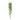 '-Ruscus Hanging-Bloomr