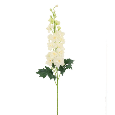 -Delphinium-Bloomr