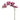 '-Phalaenopsis-Bloomr