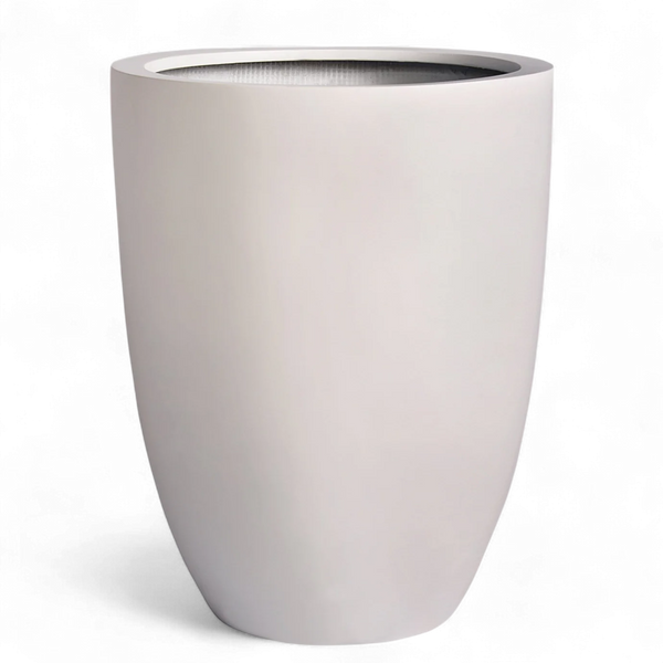 أصيص أشجار فيكونستون دائري كبير