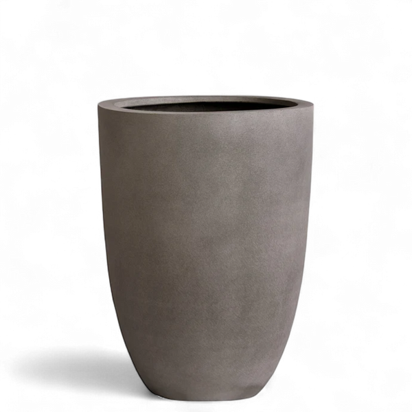 Small Round Ficonstone Tree Pot