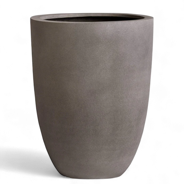 أصيص أشجار فيكونستون دائري كبير