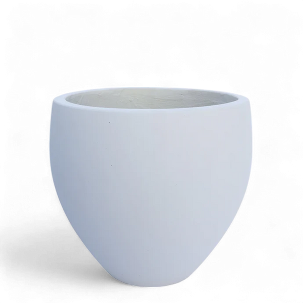 Large Round Cement Tree Pot