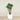 Trees-Artificial Agave Tree <br> 135cm-Bloomr