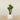 Trees-Artificial Agave Tree <br> 120cm-Bloomr