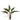 '-Fern Bush-Bloomr