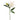 '-Lily-Bloomr