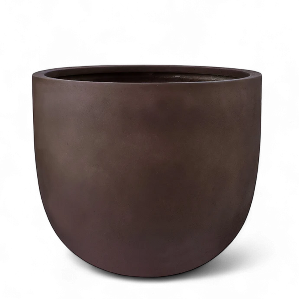 أصيص أشجار فيكونستون دائري متوسط الحجم