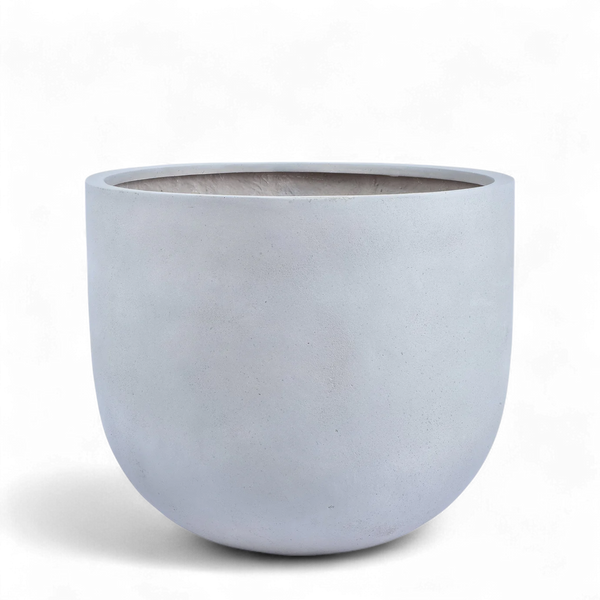 أصيص أشجار فيكونستون دائري متوسط الحجم