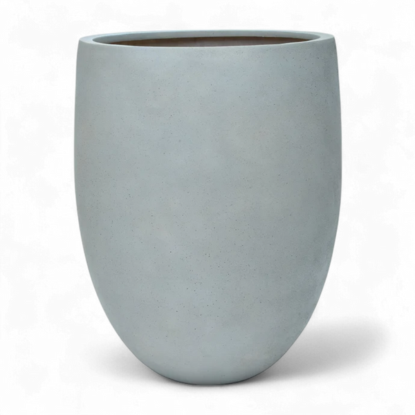 أصيص أشجار فيكونستون دائري كبير