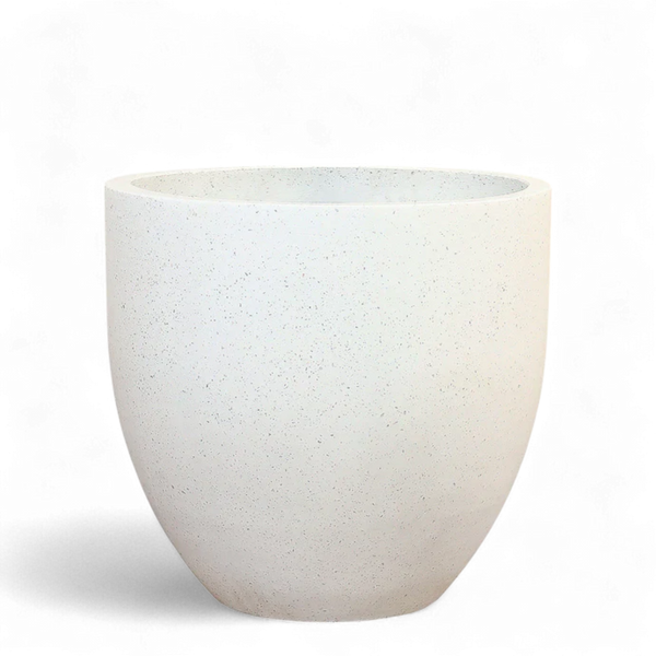 أصيص أشجار فيكونستون دائري كبير