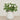 Floral Arrangement-Artificial Cabbage Rose Plant-Bloomr