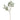'-Eucalyptus Spray-Bloomr