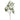'-Eucalyptus Spray-Bloomr