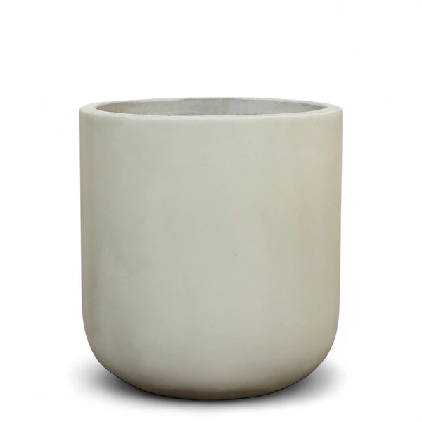 أصيص أشجار فيكونستون دائري كبير