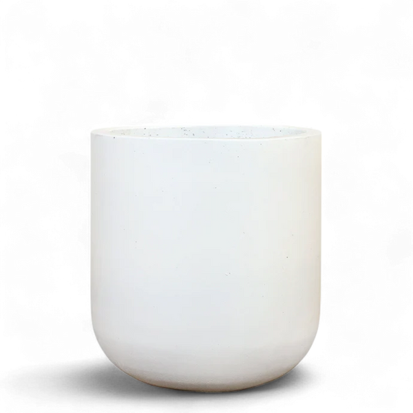 أصيص أشجار فيكونستون دائري متوسط الحجم