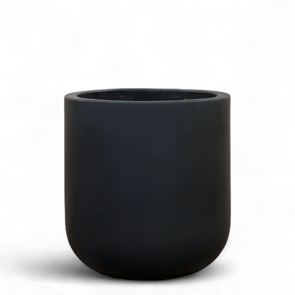 أصيص أشجار فيكونستون دائري متوسط الحجم