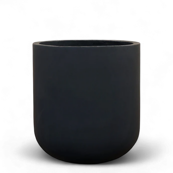 أصيص أشجار فيكونستون دائري كبير