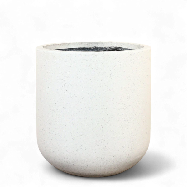 أصيص أشجار فيكونستون دائري كبير