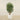 Trees-Artificial Aralia Tree 150cm-Bloomr