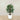 Trees-Artificial Finger Palm Tree 120cm-Bloomr