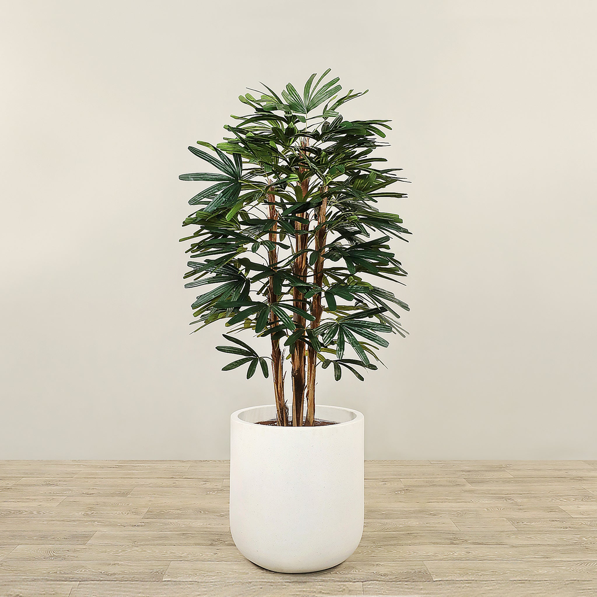 finger palm plant Artificial Finger Palm Tree 150cm – Bloomr