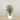 Trees-Artificial Ficus Deluxe Exotica Tree 120cm-Bloomr