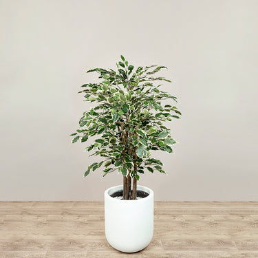 Trees-Artificial Ficus Deluxe Exotica Tree 120cm-Bloomr
