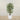 Trees-Artificial Ficus Deluxe Exotica Tree 150cm-Bloomr