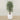 Trees-Artificial Ficus Deluxe Exotica Tree 180cm-Bloomr