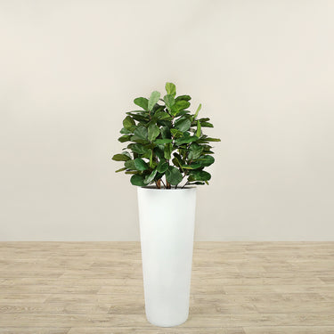 Trees-Artificial Fiddle Tree 90cm-Bloomr