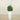 Trees-Artificial Fiddle Tree 90cm-Bloomr