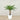 Trees-Artificial Phoenix Palm Tree 120cm-Bloomr