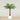 Trees-Artificial Phoenix Palm Tree 150cm-Bloomr