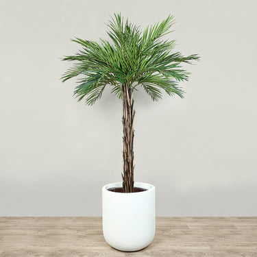 Trees-Artificial Phoenix Palm Tree 180cm-Bloomr