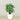 Trees-Artificial Philodendron Tree <br> 100cm-Bloomr