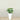 Trees-Artificial Alocasia Tree<br> 60cm-Bloomr