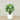 Trees-Artificial Alocasia Tree<br> 120cm-Bloomr