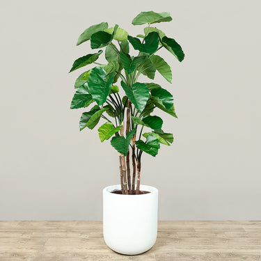 Trees-Artificial Alocasia Tree 185cm-Bloomr