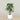 Trees-Artificial Monstera Tree 165cm-Bloomr