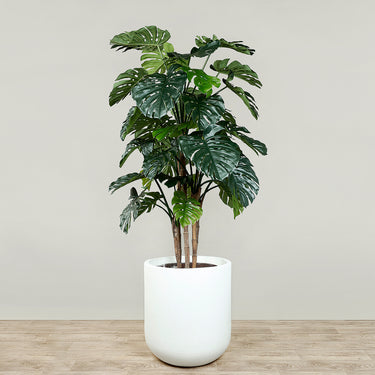 Trees-Artificial Monstera Tree 185cm-Bloomr