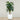 Trees-Artificial Monstera Tree 185cm-Bloomr
