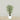 Trees-Artificial Mini Ficus Tree 150cm-Bloomr