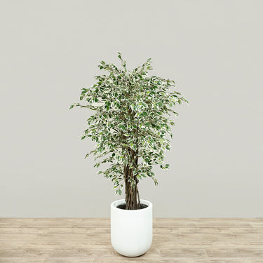 Trees-Artificial Mini Ficus Tree 150cm-Bloomr