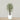 Trees-Artificial Mini Ficus Tree 180cm-Bloomr