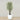 Trees-Artificial Mini Ficus Tree 210cm-Bloomr