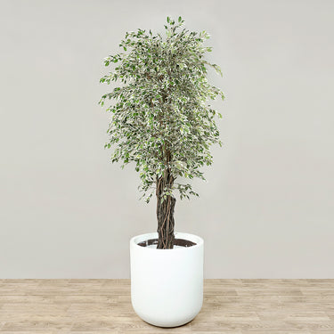 Trees-Artificial Mini Ficus Tree 210cm-Bloomr