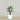 -Artificial Bird of Paradise 90cm-Bloomr