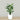 Trees-Artificial Bird of Paradise 120cm-Bloomr