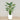 Trees-Artificial Bird of Paradise 150cm-Bloomr